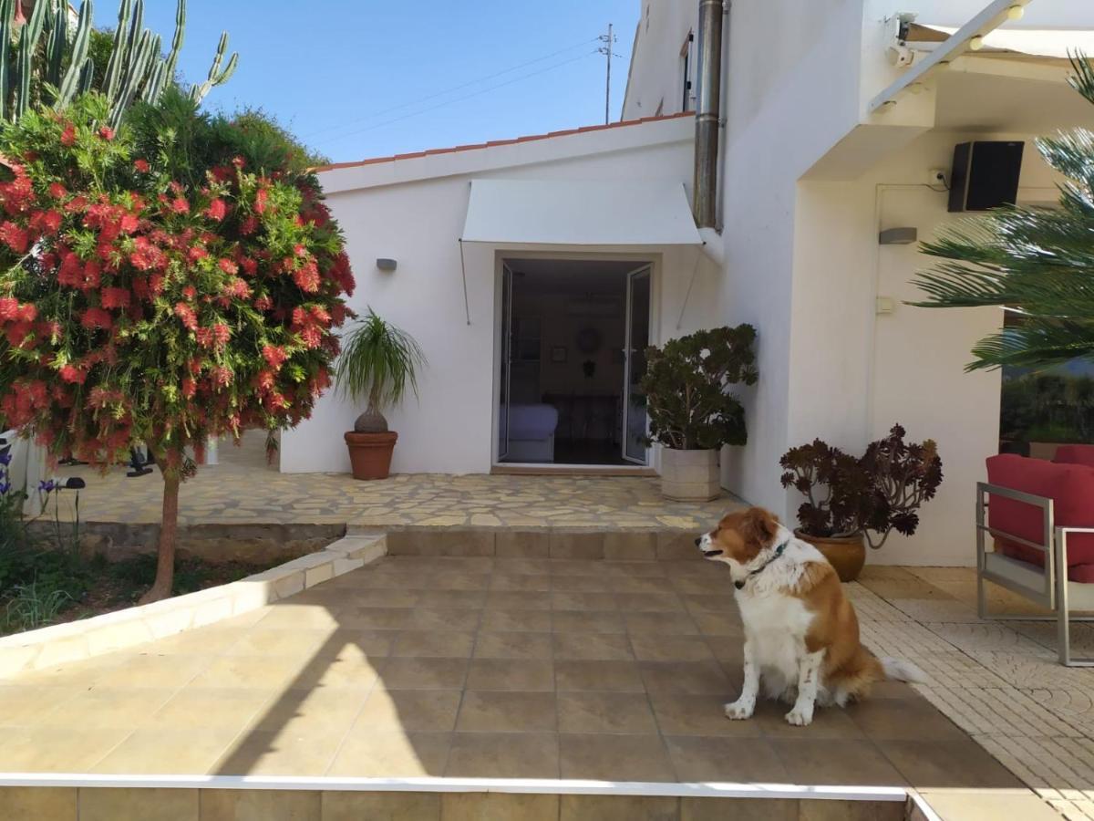 Berg & Zon Hotel Gandía Kültér fotó